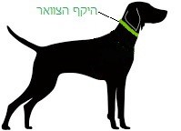 Collar measure