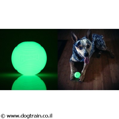 chuckit max glow ball
