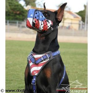 זמם לכלב מעור בצביעה ידנית וייחודית בסגנון דגל אמריקה