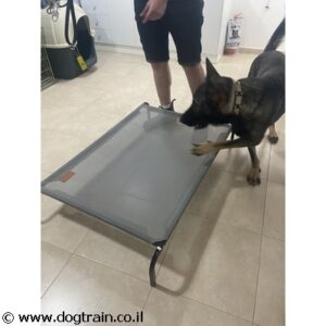 מיטת רשת מתוחה מוגבהת לכלב דגם DogsLife בחמישה גדלים שונים